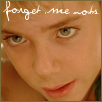 Forget me nots