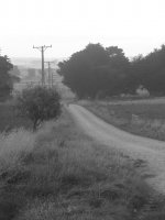 Wandering Road
