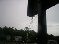 Rain Drops