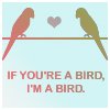 We're Just Birds.