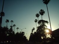 Santa Monica Blvd.