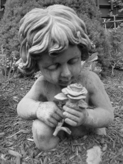 Click to view original image