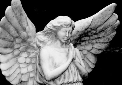 Click to view original image