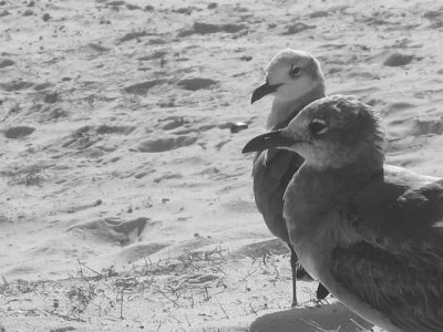 Click to view original image