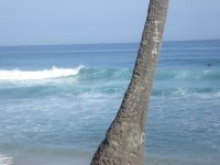 puerto rican waves
