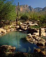 Arizona Pool
