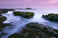 Foggy Rocks