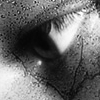 Click to view original image