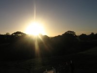 Shining Brilliance