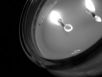 candle2