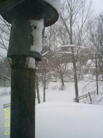 Wintery