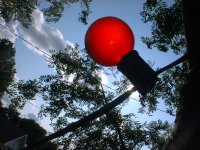 The Lone Christmas Bulb