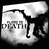 Flying to Death