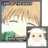 Year Of The Sheep