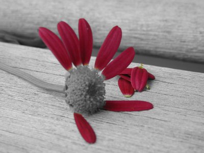 Click to view original image