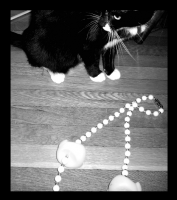 cat + necklace
