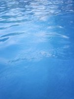 Water Drops