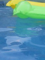 Floaties