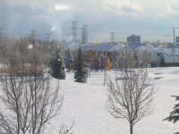 winter sleep