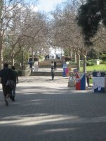UCLA
