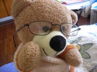 Bear with Glasses
