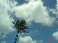 Blue Sky