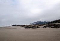 Oregon Coast 7am
