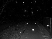 snowy weather