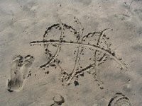 love and basketball [beach:]