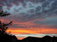 Skywards