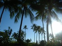 .My Paradise.