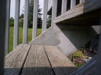 shadow deck