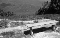 Black and White Bench