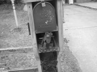 weird mailbox.
