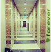 Click to view original image